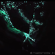 Illustration for article titled Timelapses of New Zealand Are Stunning Science